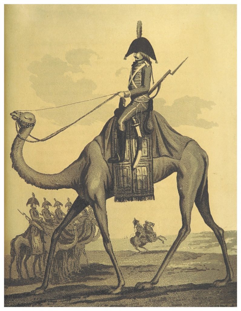 Savoir est un devoir : Pierre Legrand, ce Castrais mort en Egypte en 1801