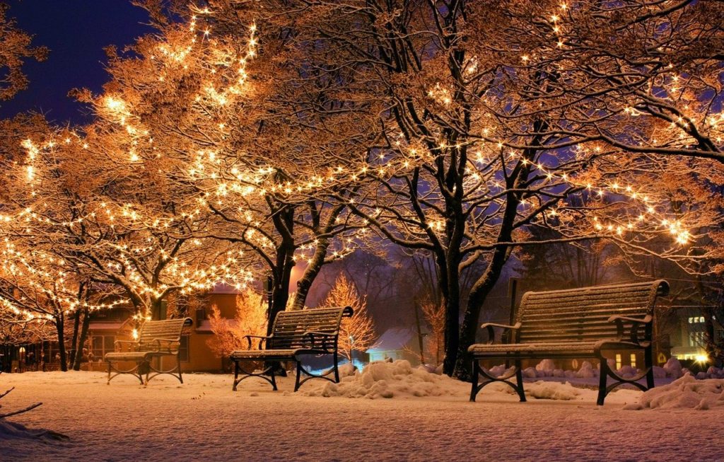 Noël dans le Tarn : 8 idées de sorties en famille !