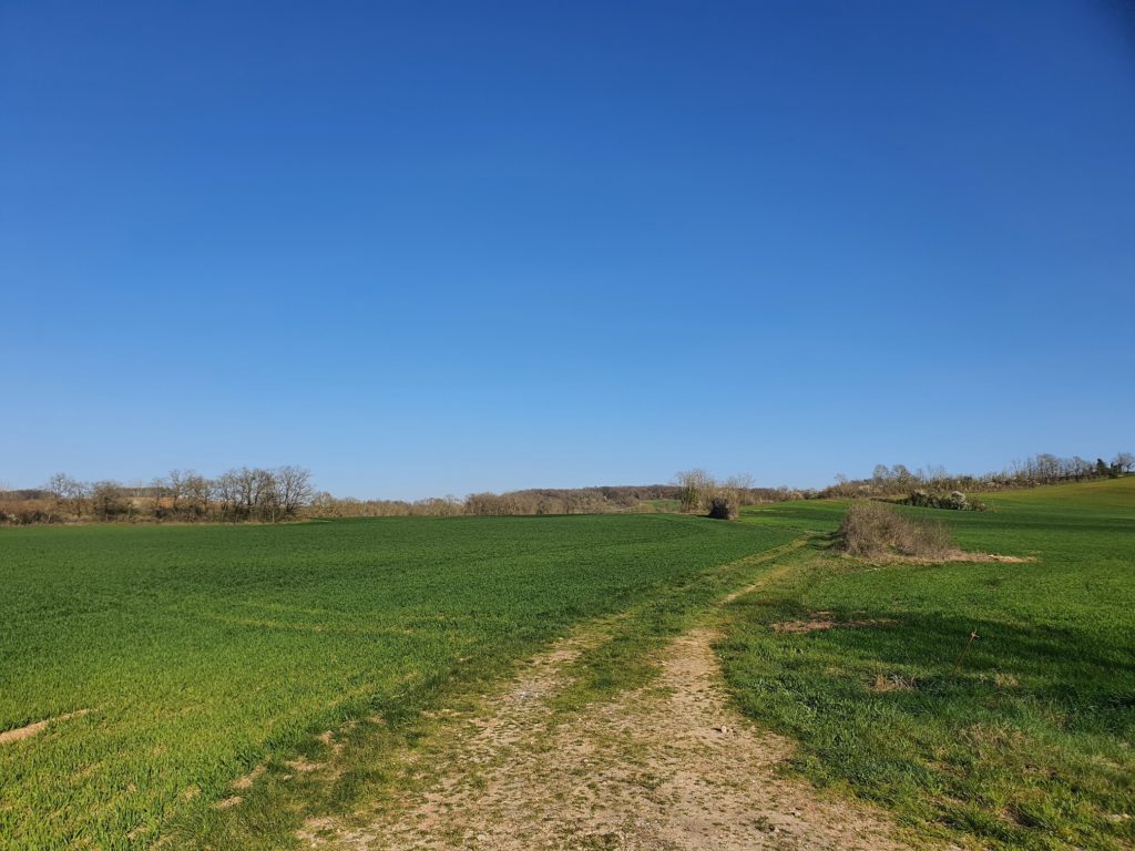 Lombers : des habitants s’opposent à une possible installation d’éoliennes