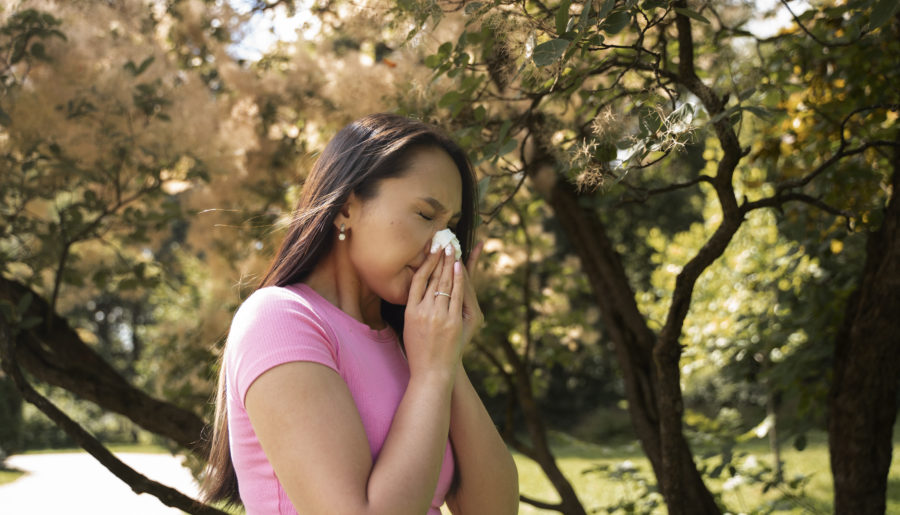 Allergies saisonnières : le point sur les traitements naturels